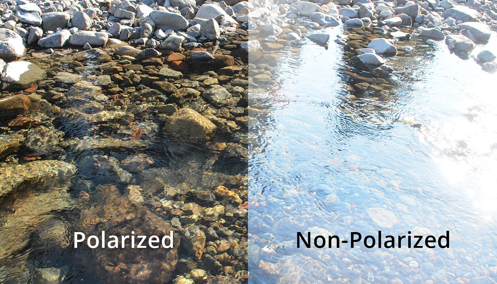 polarized glasses water